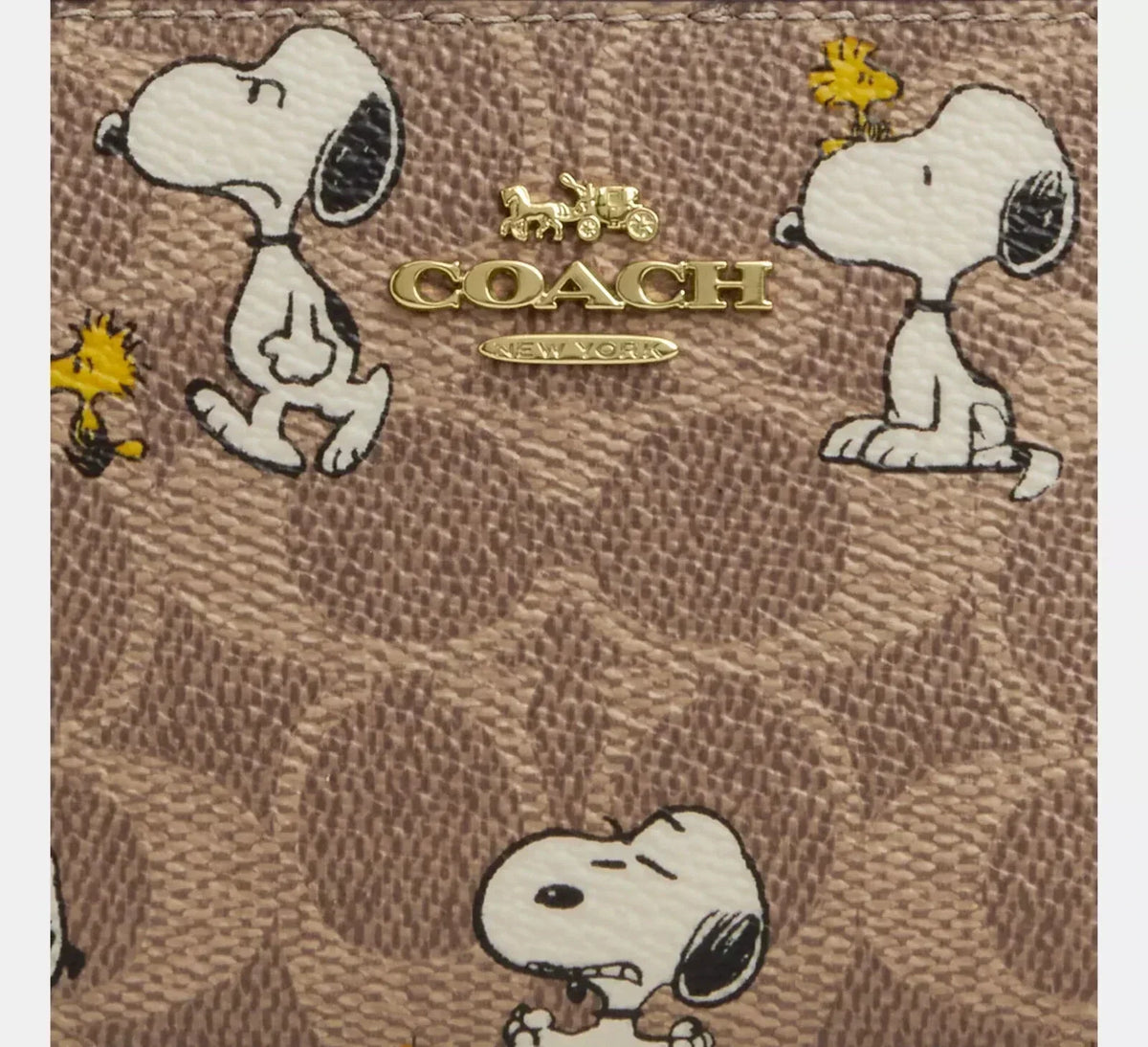 peanuts-x-coach-snap-wallet ohter