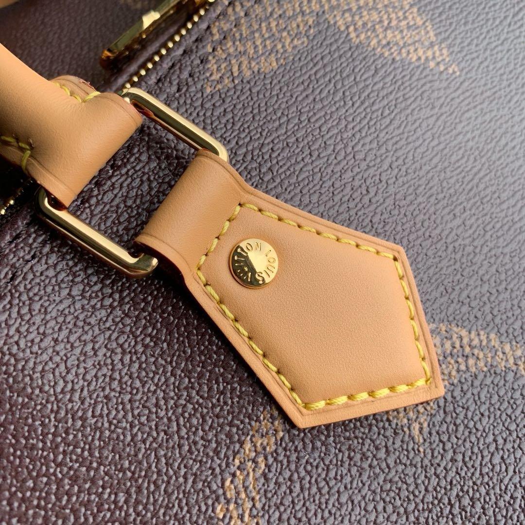 louis-vuitton-bag-25 Crossbody