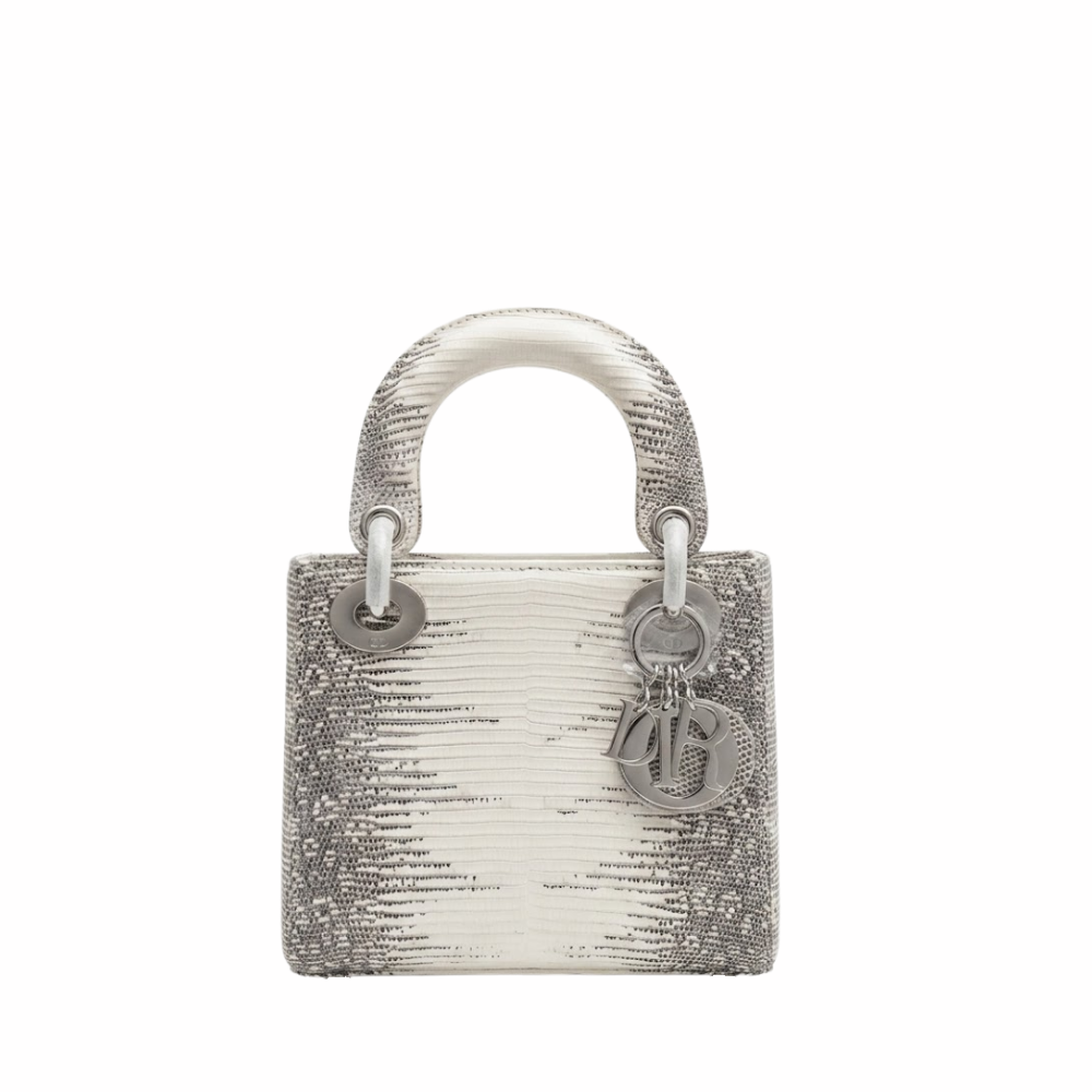 dior-ombre-himalayan-lizard-small Handle