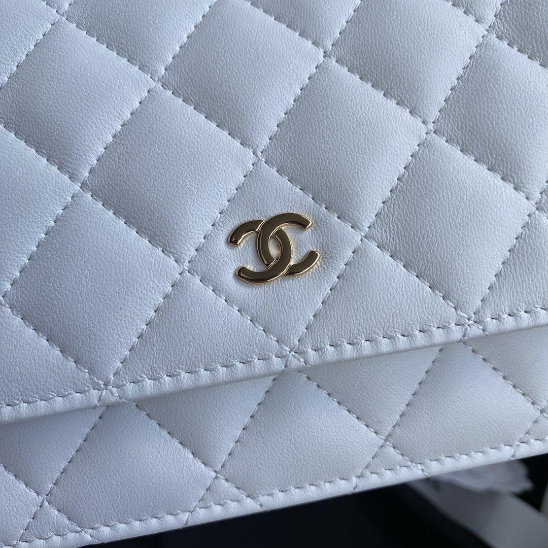 classic-handbag-1 ohter