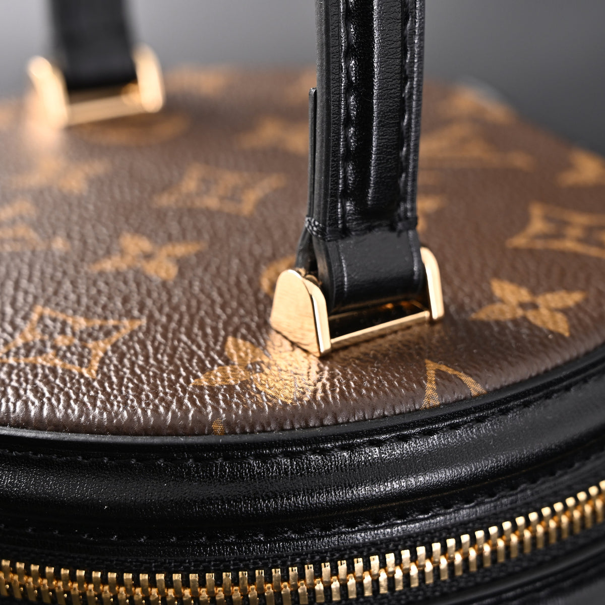 louis-vuitton-cannes-bag-monogram-canvas-vanity-case-with-top-handle-small Handle