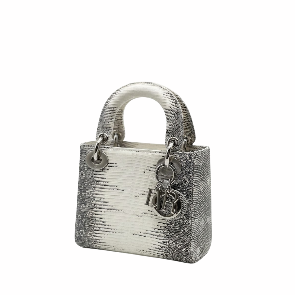 dior-ombre-himalayan-lizard-small Handle