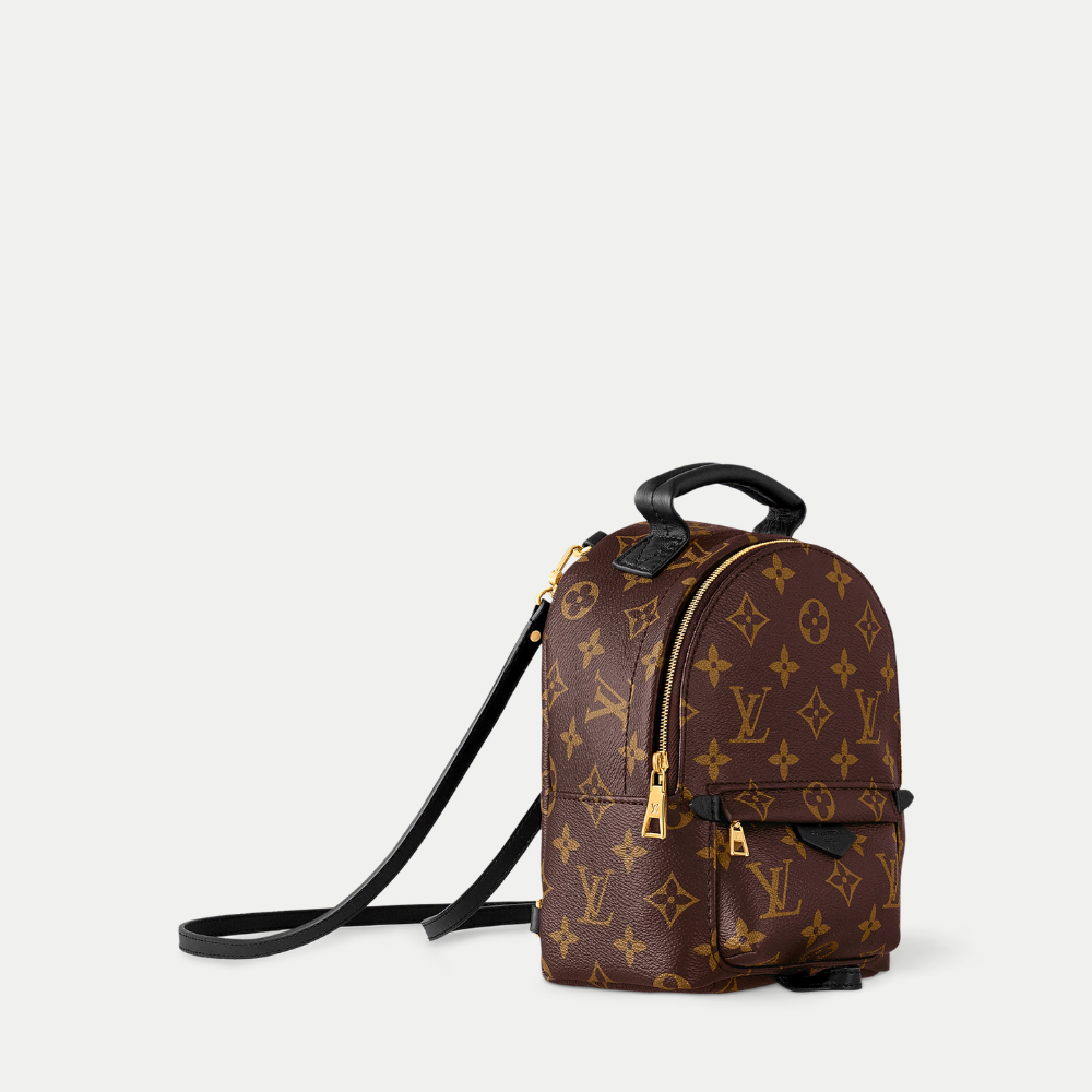 lv-palm-springs-mini ohter