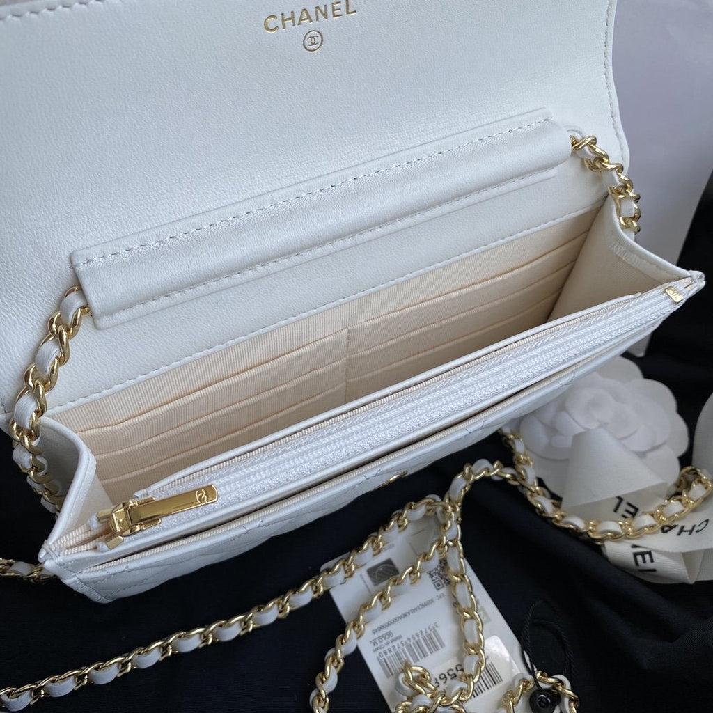classic-handbag-1 ohter