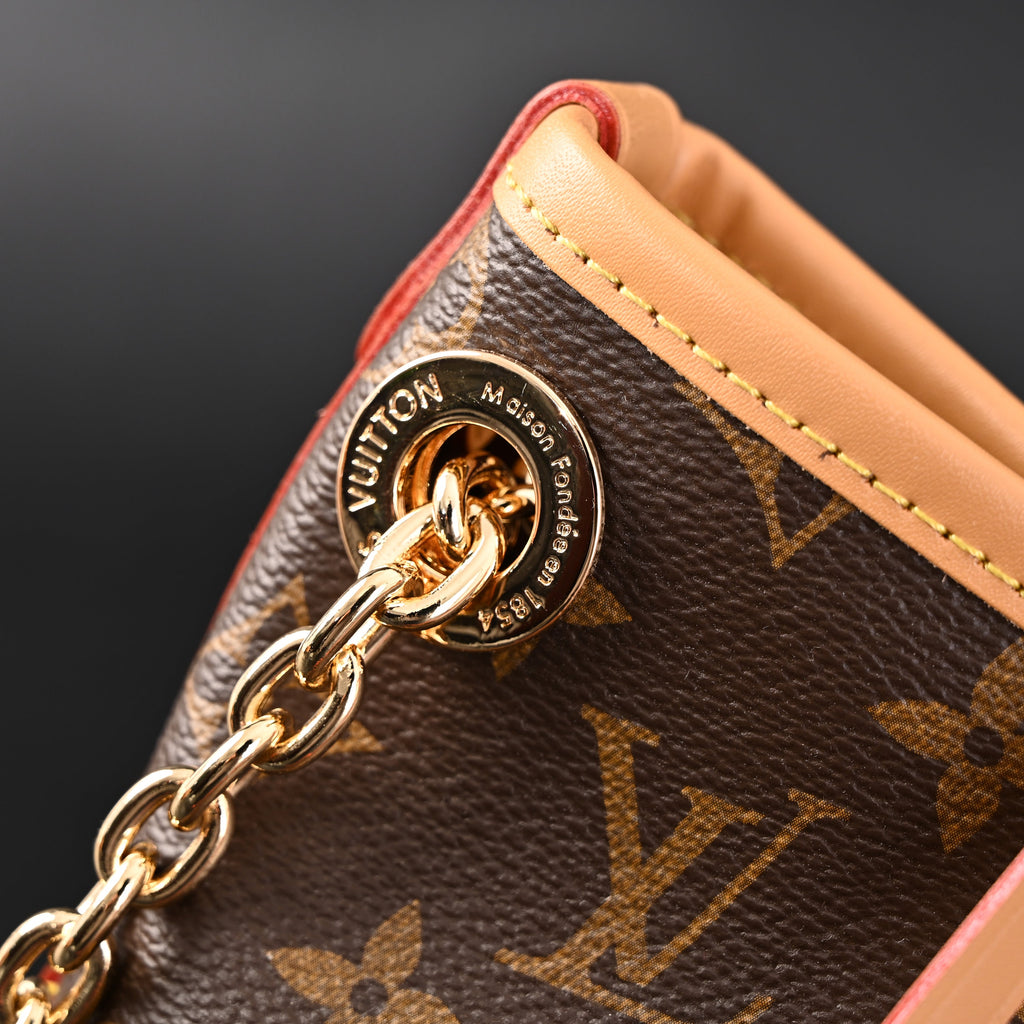 louis-vuitton-carryall-bb-monogram-canvas-shoulder-bag-classic-brown-m13014 Shoulder