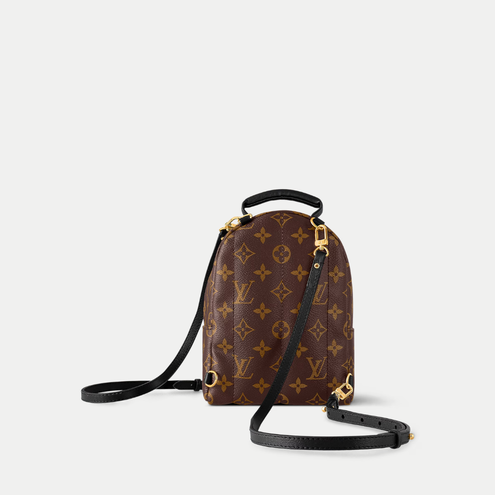 lv-palm-springs-mini ohter