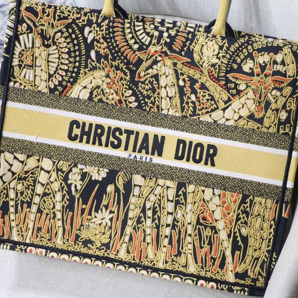 dior-book-tote-14 Tote
