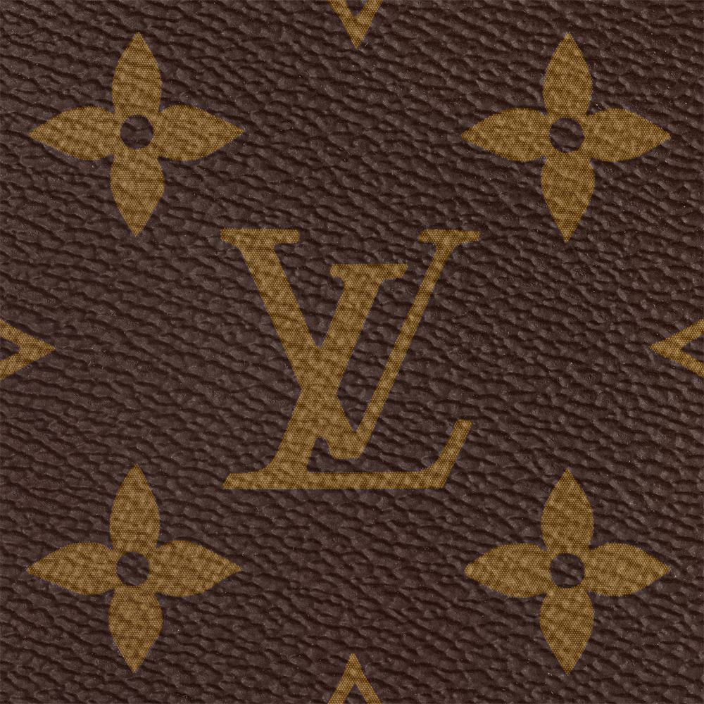 lv-palm-springs-mini ohter