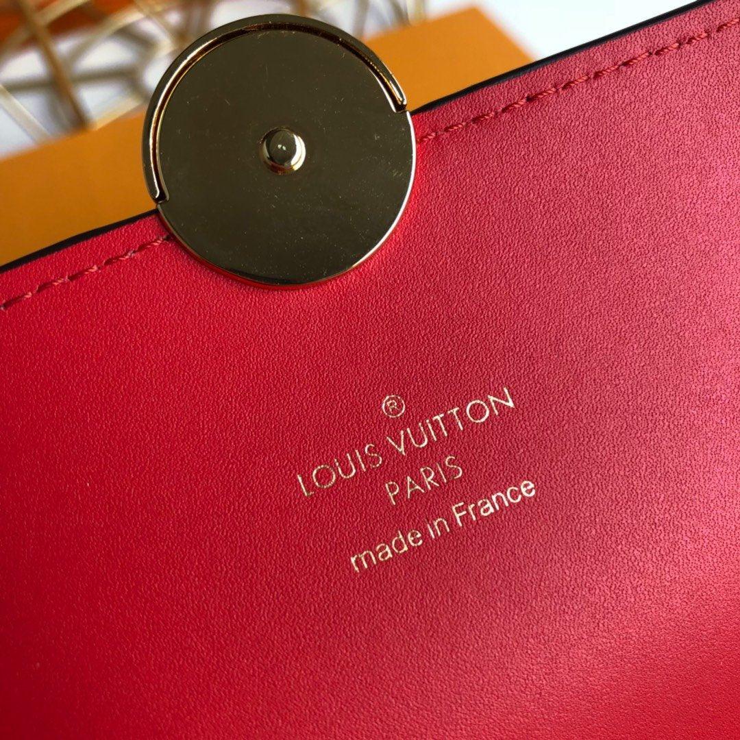 louis-vuitton-bag-30 ohter