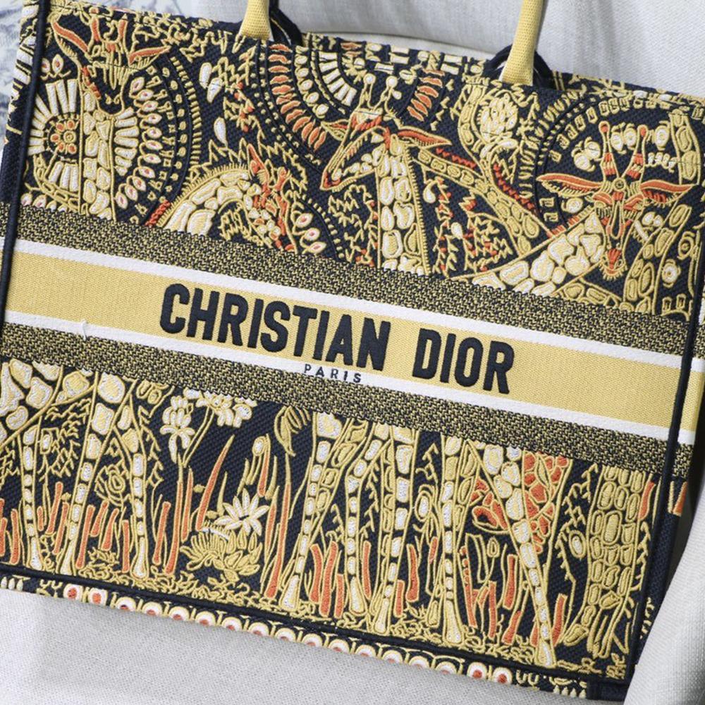 dior-book-tote-5 Tote