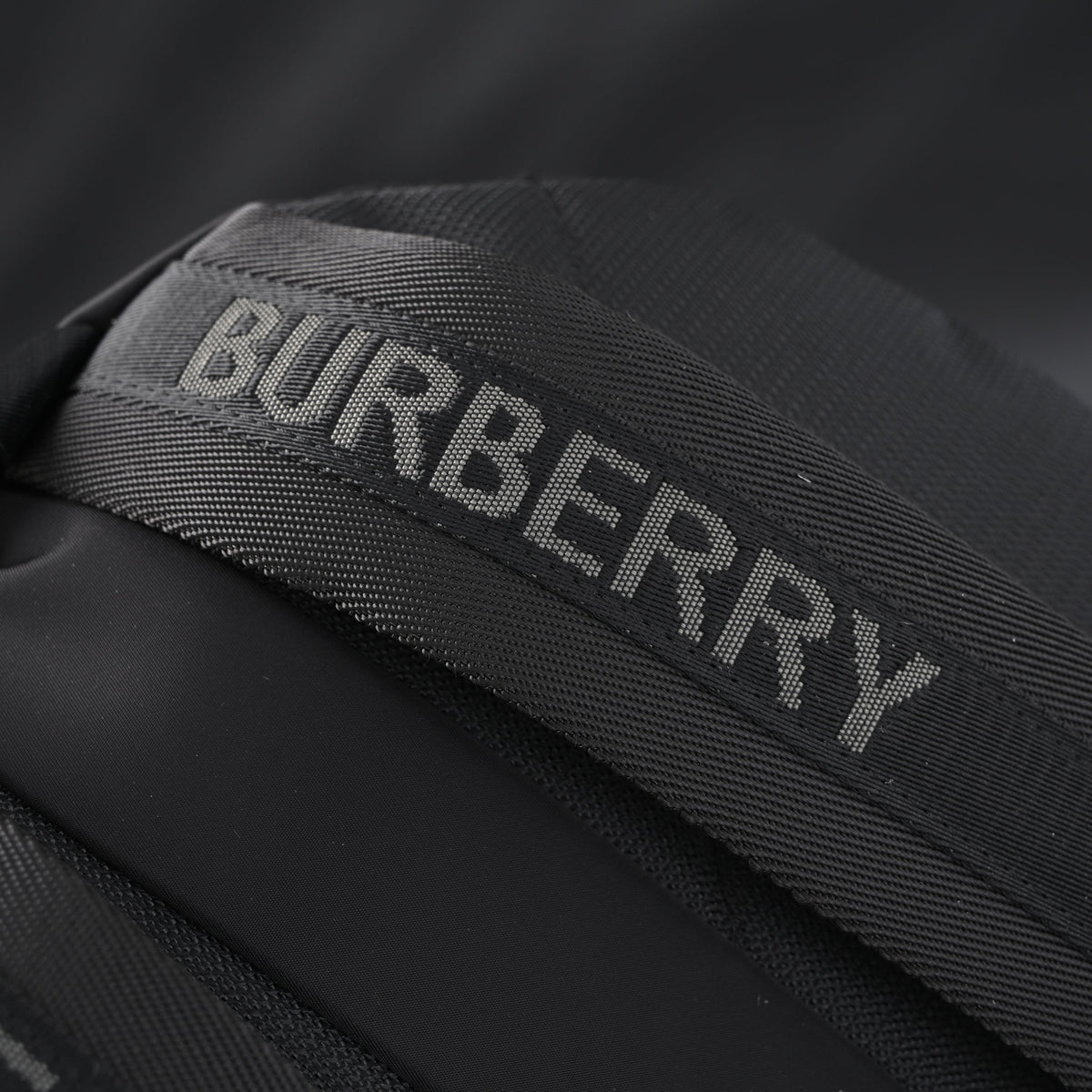 burberry-london-england-logo-nylon-backpack ohter