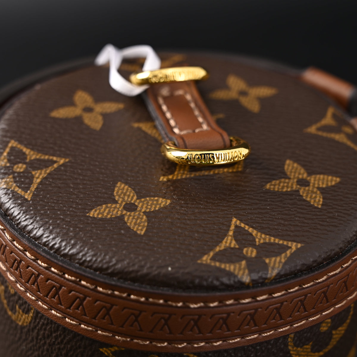 louis-vuitton-cannes-monogram-canvas-bag Crossbody