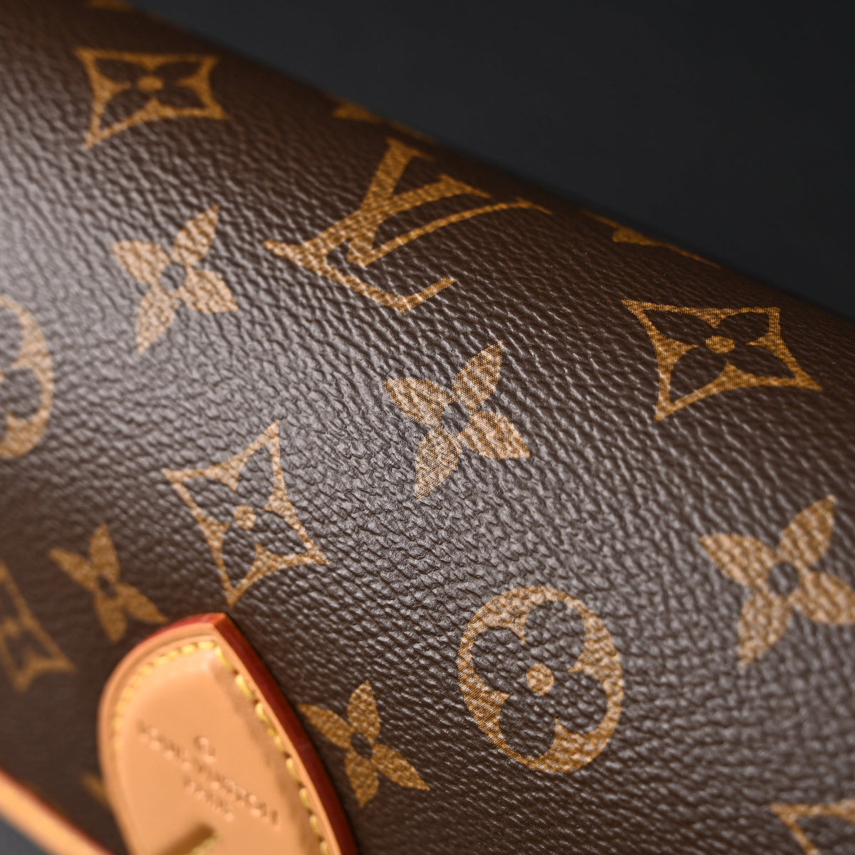 louis-vuitton-croissant-bag-monogram-canvas Shoulder