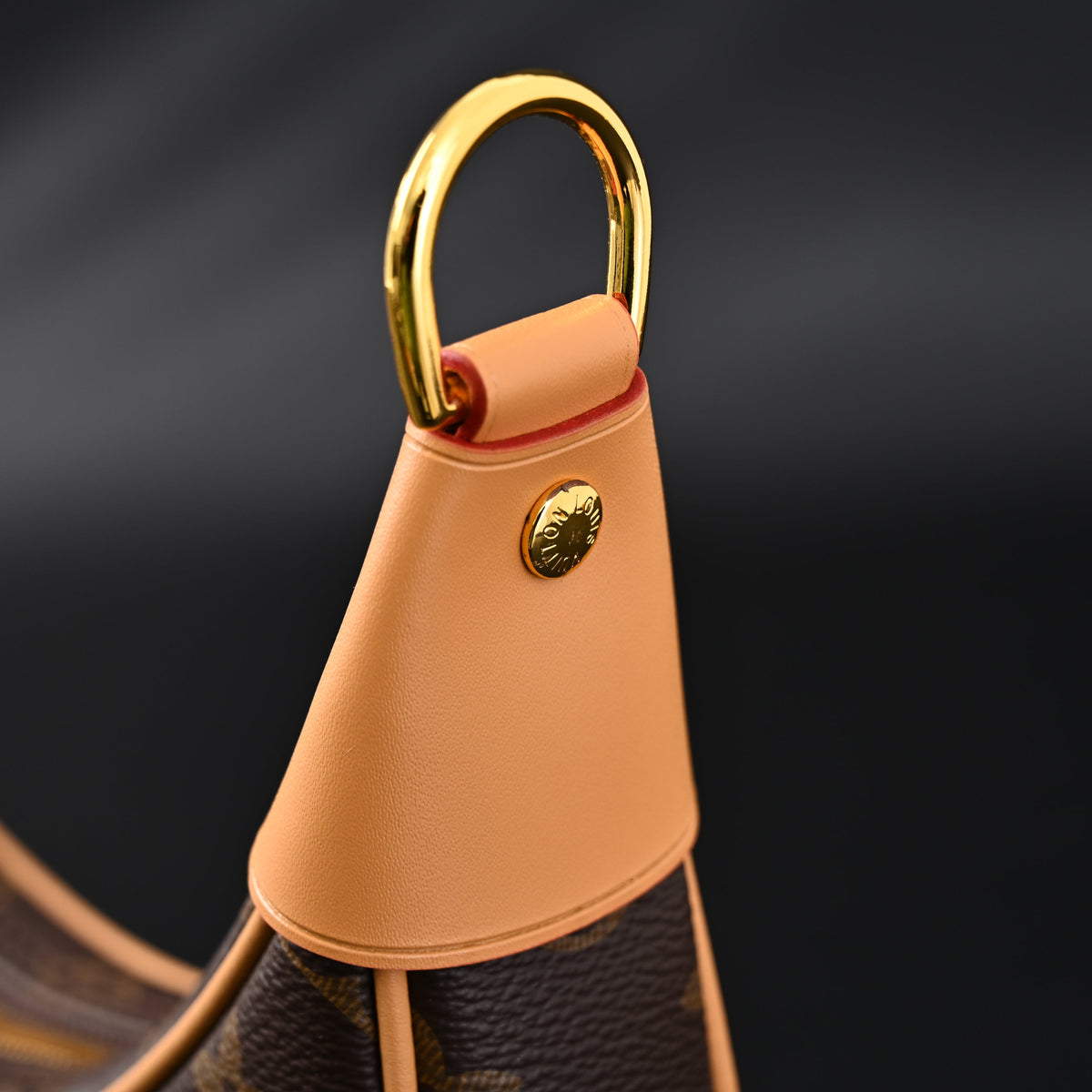 louis-vuitton-loop-bag-monogram-canvas-with-gold-chain Crossbody