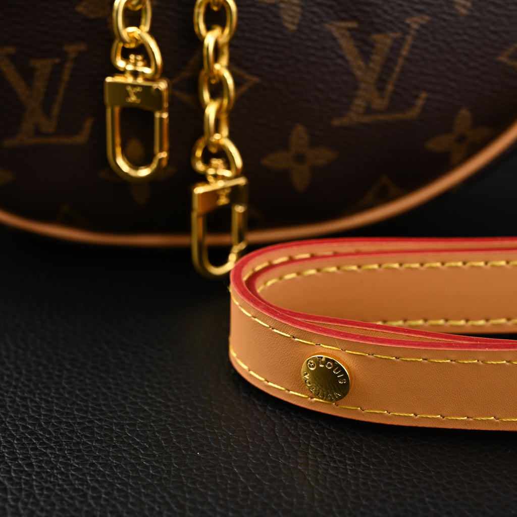 louis-vuitton-loop-bag-monogram-canvas-with-gold-chain Crossbody