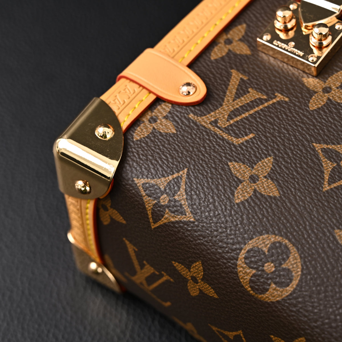 louis-vuitton-cannes-trunk-bag-monogram-canvas-with-gold-tone-hardware Crossbody