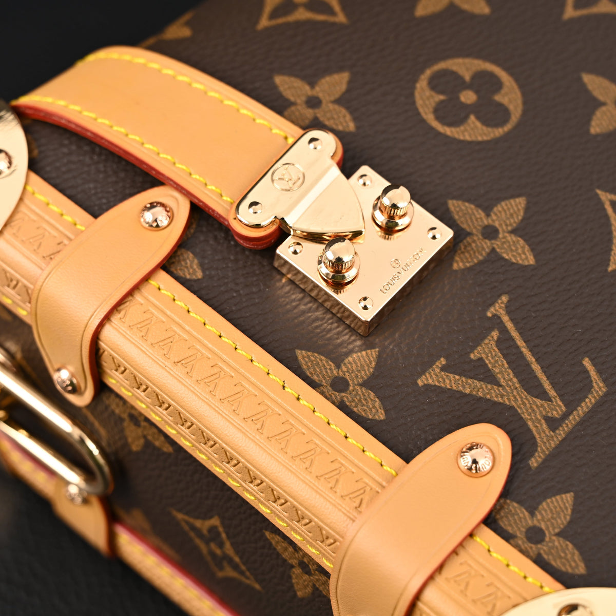 louis-vuitton-cannes-trunk-bag-monogram-canvas-with-gold-tone-hardware Crossbody