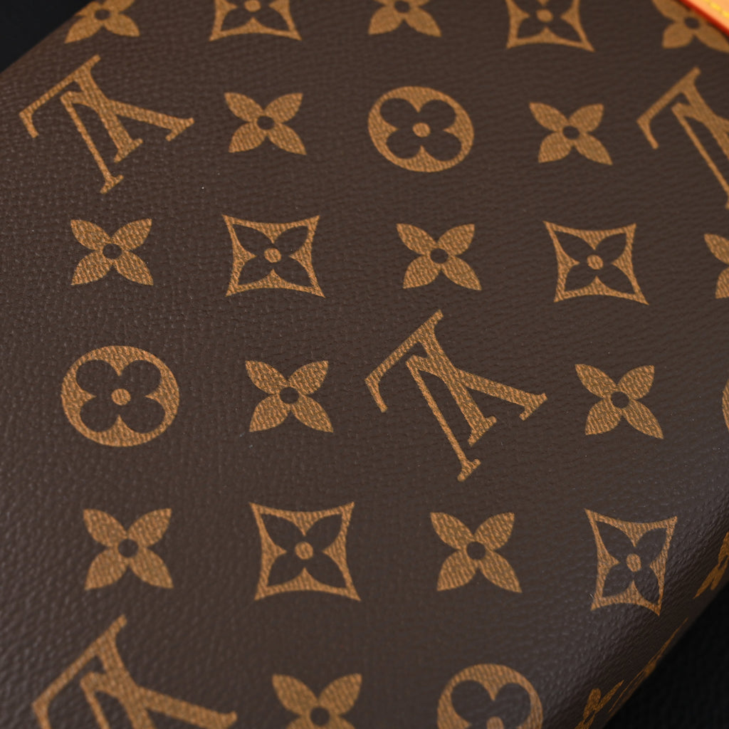 louis-vuitton-cannes-trunk-bag-monogram-canvas-with-gold-tone-hardware Crossbody