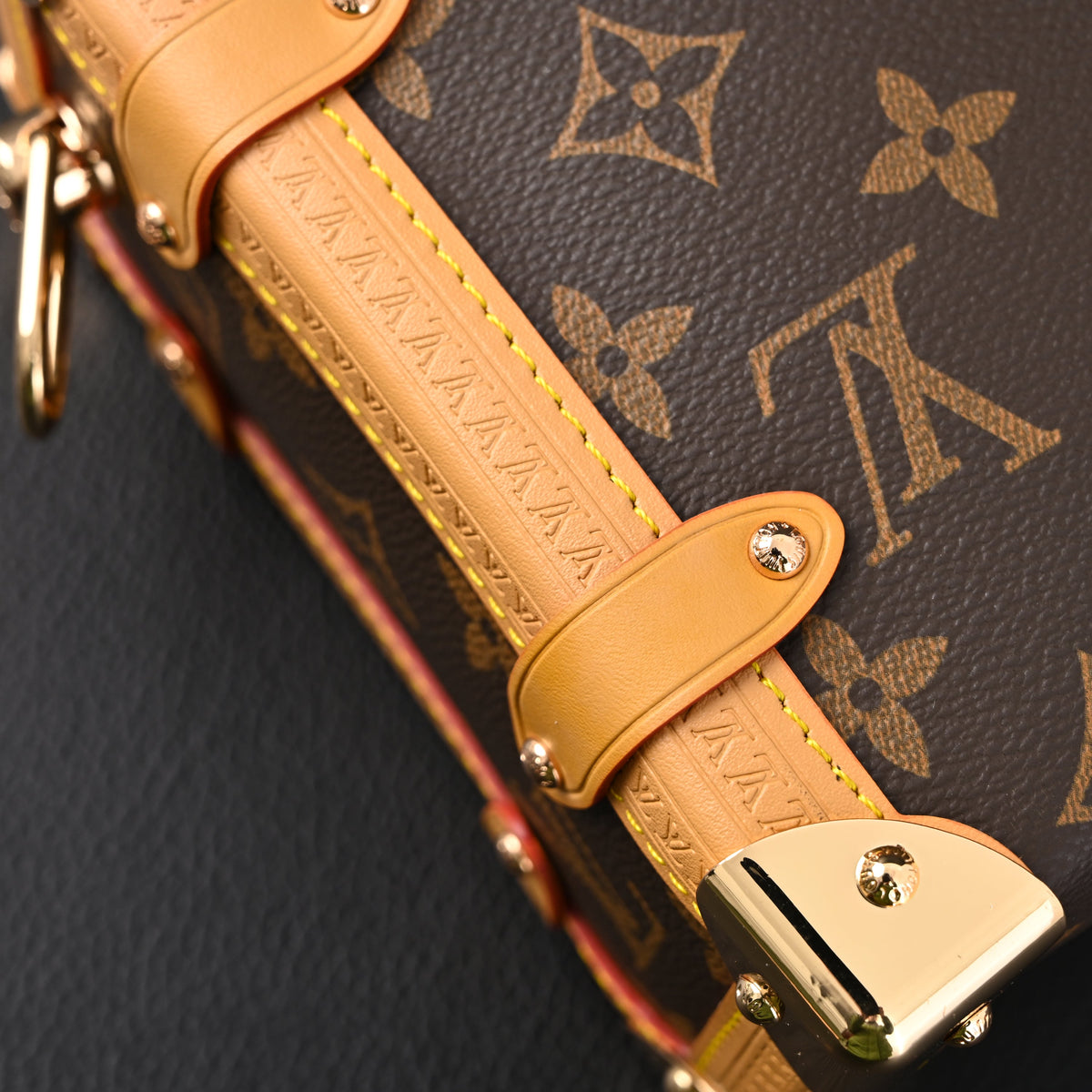 louis-vuitton-cannes-trunk-bag-monogram-canvas-with-gold-tone-hardware Crossbody