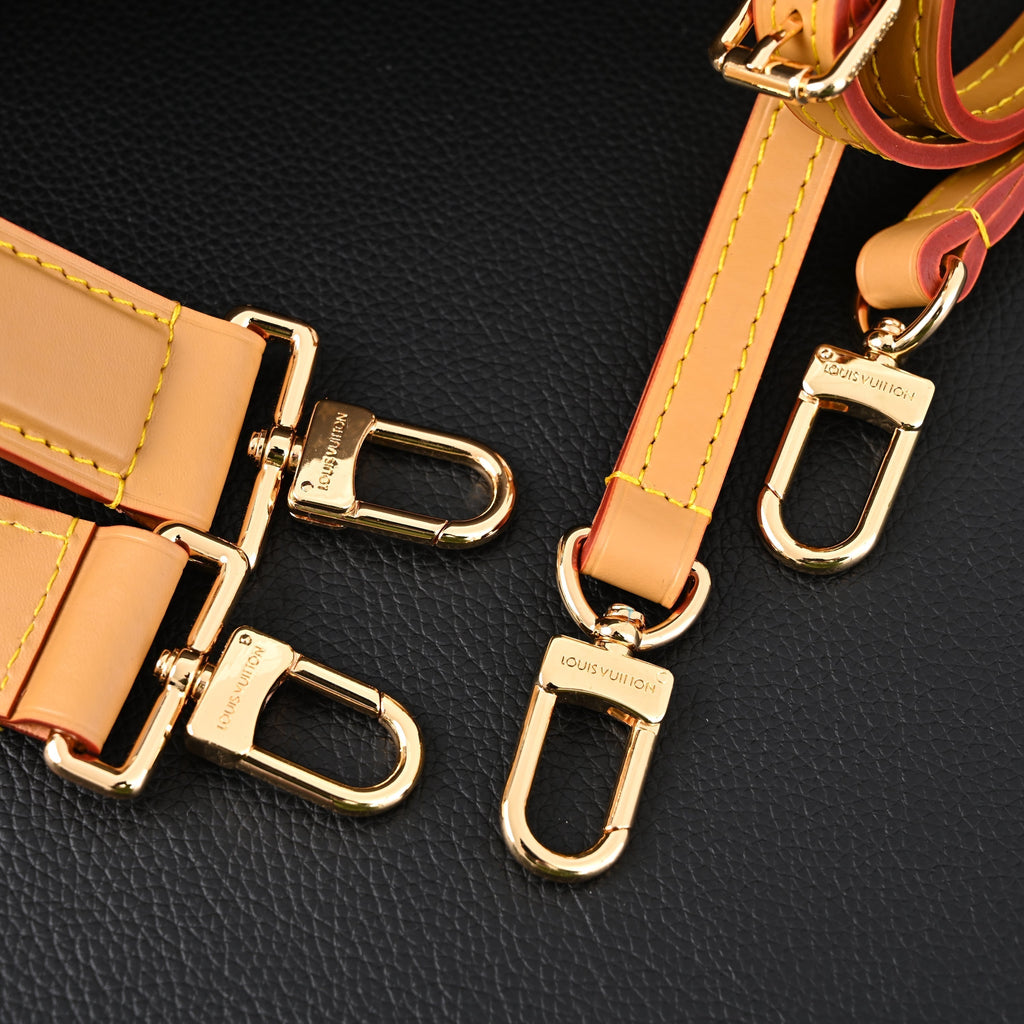 louis-vuitton-cannes-trunk-bag-monogram-canvas-with-gold-tone-hardware Crossbody
