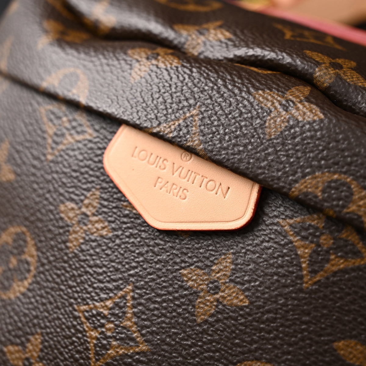 louis-vuitton-bumbag-monogram-canvas-waist-crossbody-bag Crossbody