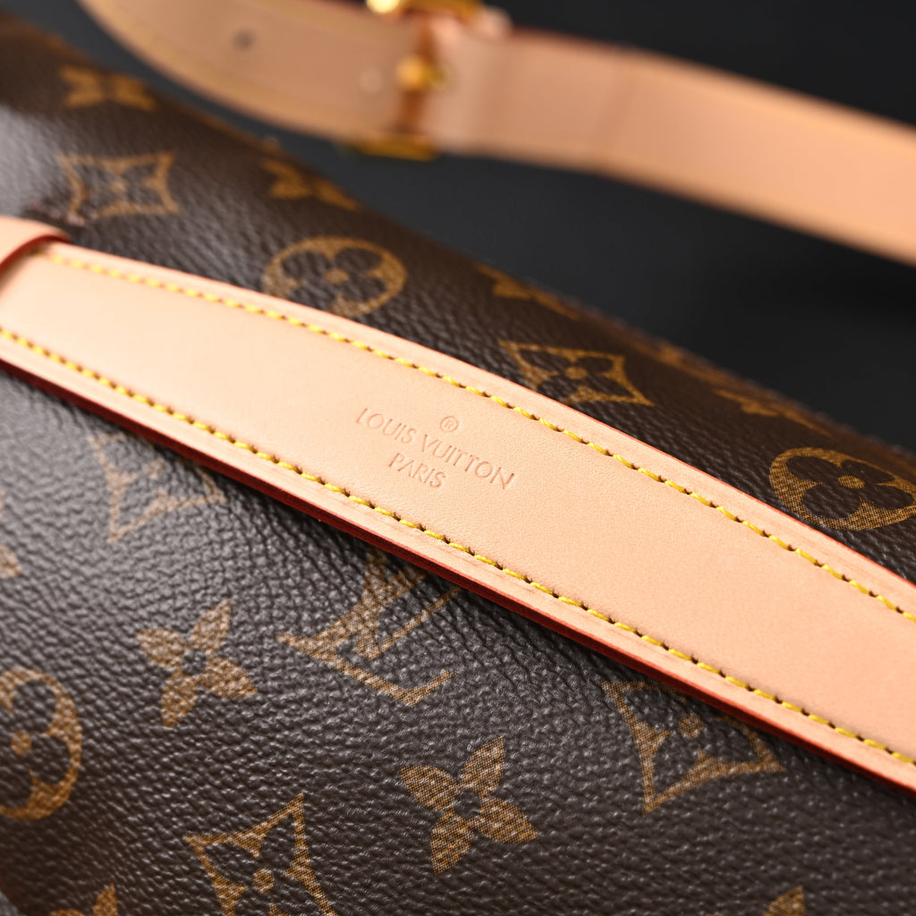 louis-vuitton-bumbag-monogram-canvas-waist-crossbody-bag Crossbody