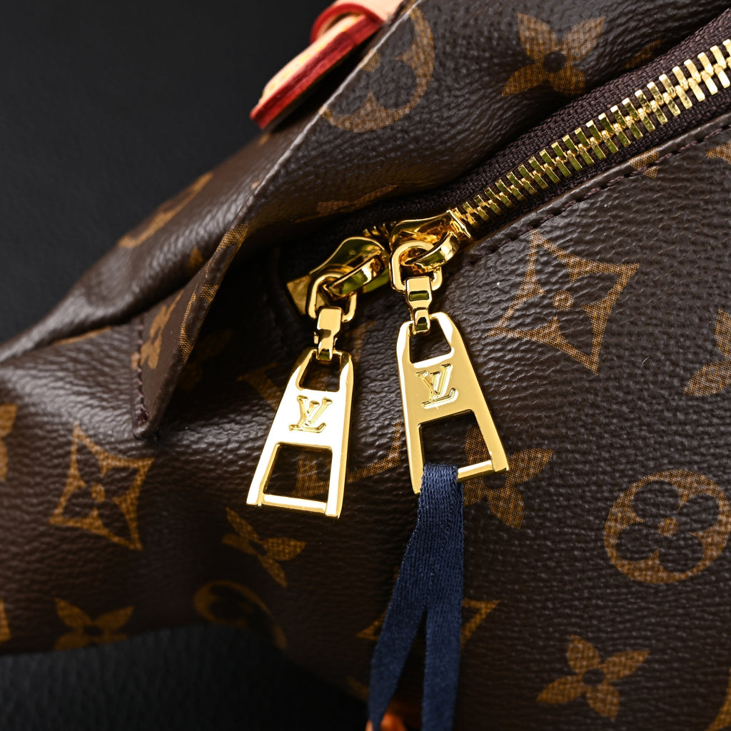 louis-vuitton-bumbag-monogram-canvas-waist-crossbody-bag Crossbody