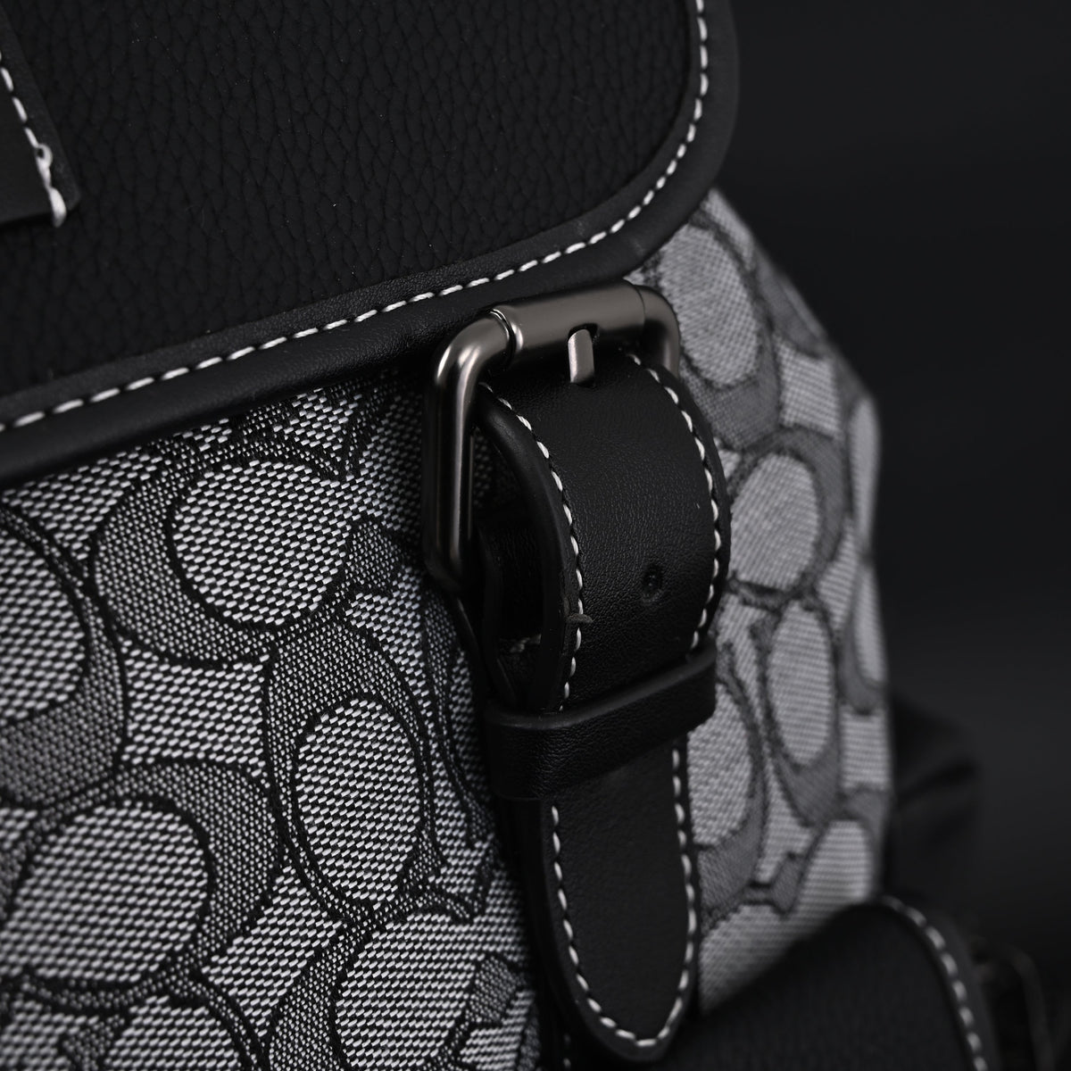 coach-ch-sprint-backpack-signature-canvas-leather ohter