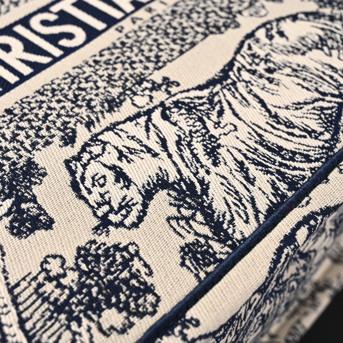 dior-book-tote-bag-blue-toile-de-jouy-embroidery Tote