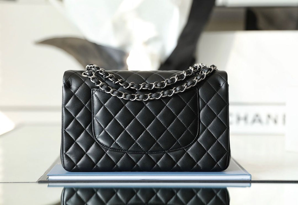 chanel-timeless-classic-flap-bag-silver-hardware Shoulder