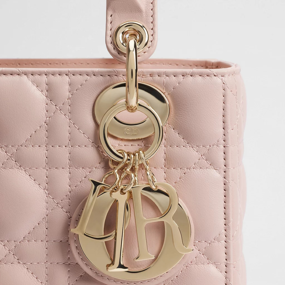 pink-lady-bag Handle