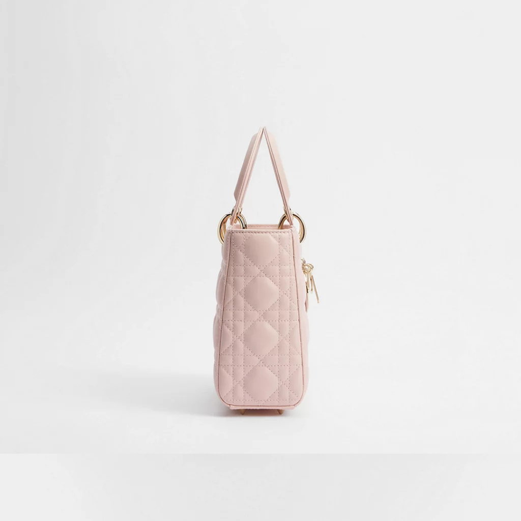 pink-lady-bag Handle