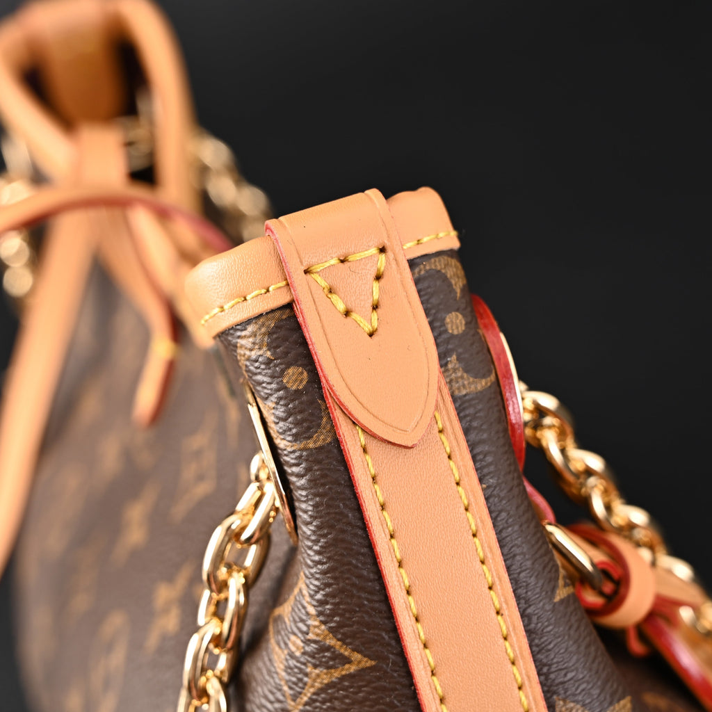 louis-vuitton-carryall-bb-monogram-canvas-shoulder-bag-classic-brown-m13014 Shoulder