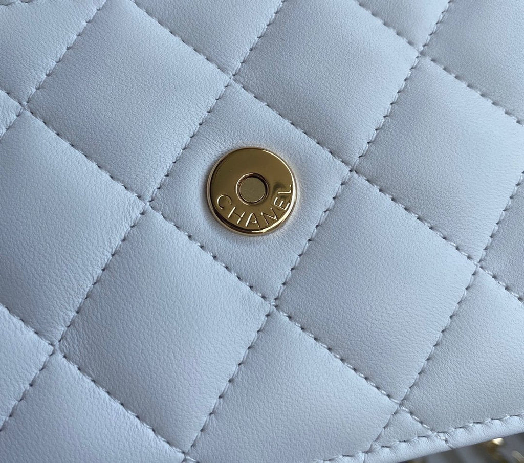 classic-handbag-1 ohter
