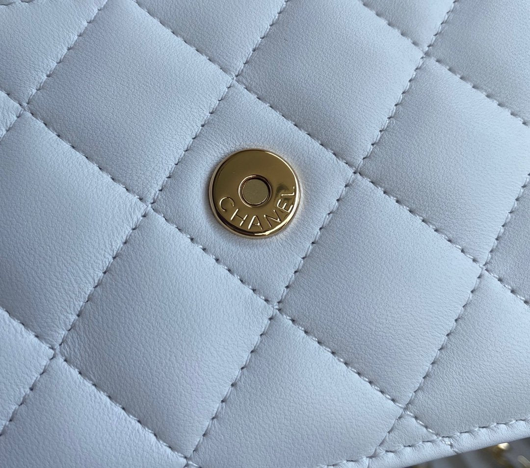 classic-handbag-1 ohter