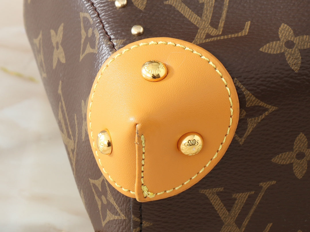 louis-vuitton-lv-classic-noe-handbag-tote-bag-23x27x8cm Tote