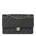 chanel-classic-flap-bag-with-silver-hardware-1 Handle