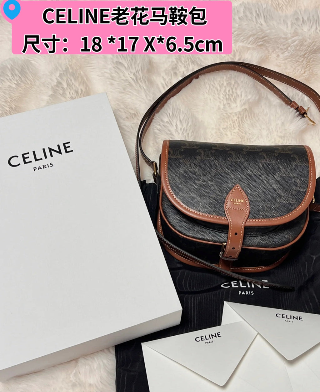 celine-mini-triomphe-coated-canvas-besace-crossbody-bag Crossbody