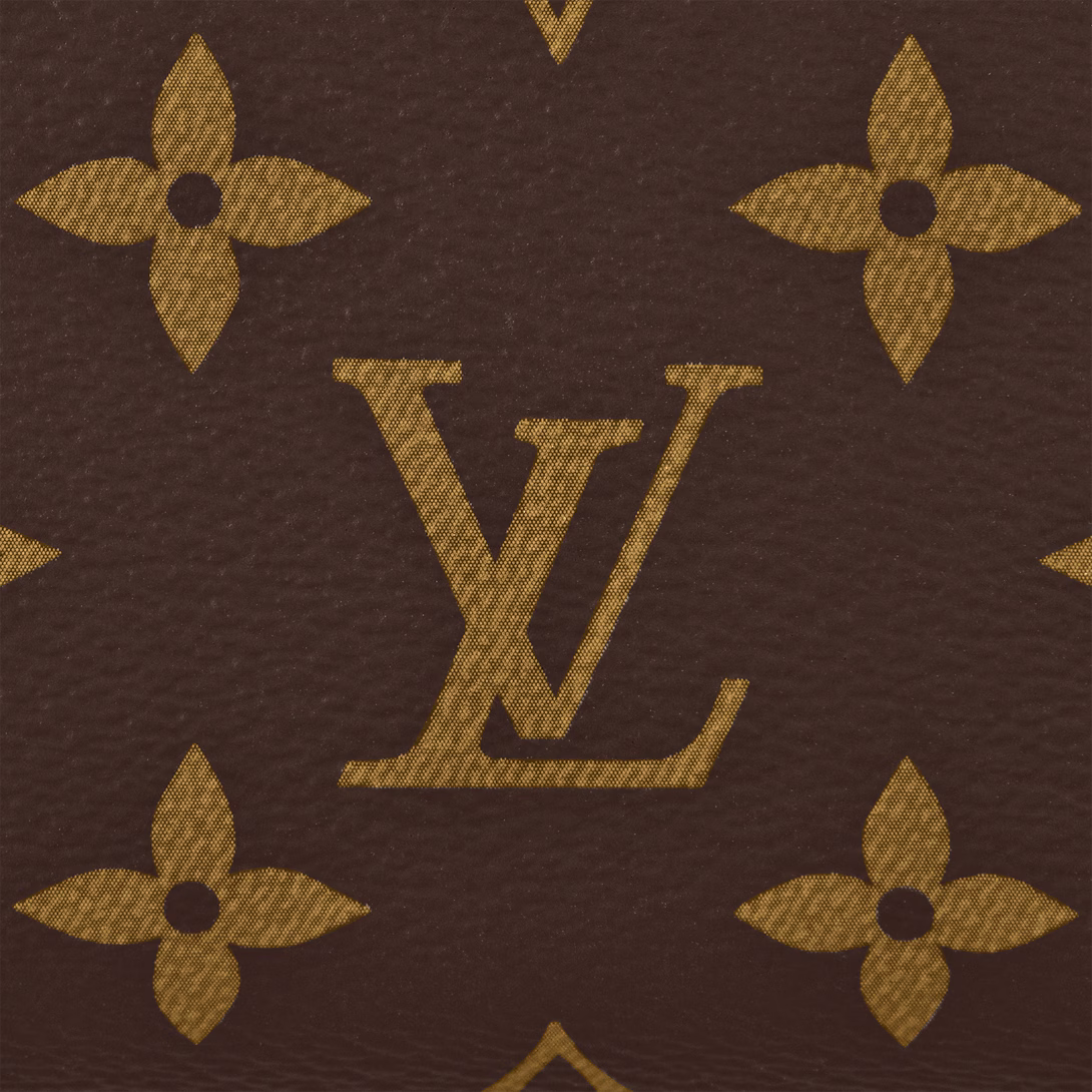 lv-speedy-20-bag Handle