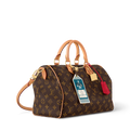lv-speedy-soft-30-crafty-bag Handle